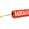 Preventing Radicalisation - - CSTF Aligned